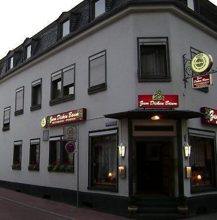 Hotel Zum Dicken Baum Mayen Extérieur photo